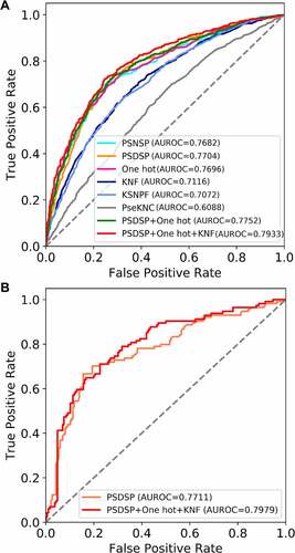 Figure 2. Predictor performance evaluation results. (a) The ROC curve showing the performance of single and combined random forest models in five-fold cross-validation. (b) The ROC curve showing the performance of predictor on independent test dataset