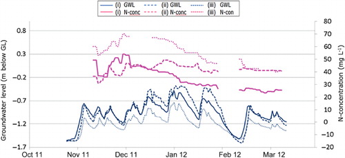 Figure 7. Groundwater levels and N concentration in the drainage discharge in the winter of 2011/2012 in Ospel: (i) conventional uncontrolled drainage, (ii) controlled drainage – deep and (iii) controlled drainage – shallow (Stuyt, van der Bolt et–al. Citation2013).