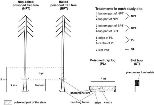 Figure 4. Baited poisoned trap tree (BPT) (left) and baited poisoned trap log (PL) (right).
