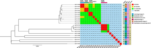 Figure 1 Phylogenetic analysis of Klebsiella pneumoniae strains A maximum-likelihood phylogenetic tree based on the recombination-free alignment of 20 Klebsiella pneumoniae strains was constructed, the tree was mid-point rooted. The single-nucleotide polymorphisms (SNPs) numbers between each K. pneumoniae strain, 4 groups of strains (red) were observed within which the pair-wise SNPs distances were less than 35.