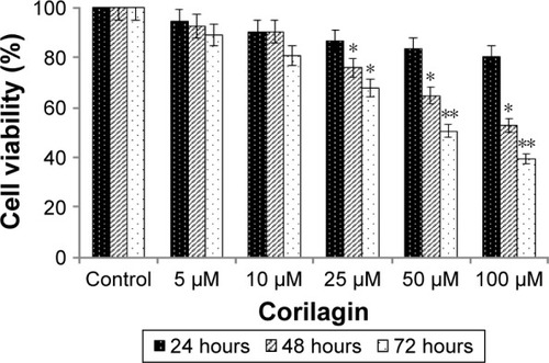 Figure 1 Effects of corilagin on cell proliferation.