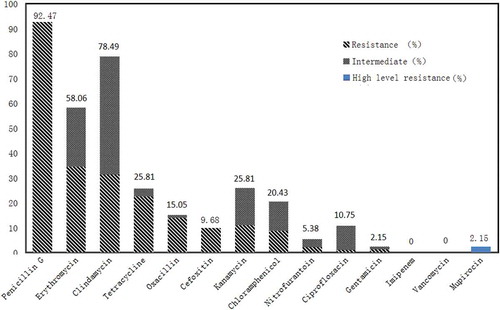 Figure 1. The antimicrobial susceptibility of 93 S. aureus isolates to 14 antibiotics agents.Figura 1. Susceptibilidad antimicrobiana de 93 cepas de S. aureus aisladas ante la presencia de 14 agentes antibióticos.