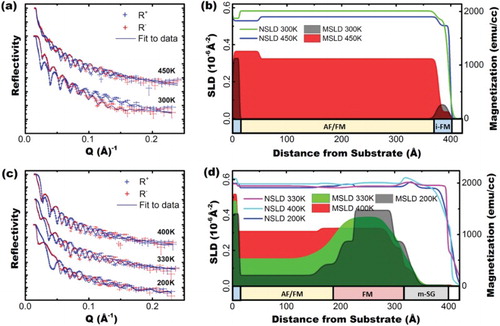 Figure 2. (a) PNR reflectivities of virgin (undosed) samples of FeRh grown on MgO 300 K (below metamagnetic transition) and 450 K (above metamagnetic transition). Blue lines show fit through the data. Overlaid red and blue error bars show data points for positive and negative neutron polarizations, respectively. (b) MSLD and NSLD depth profiles of a virgin FeRh film extracted from fits to data in Figure 2(a). (c) PNR reflectivity of FeRh sample after He-ion irradiation at 400 K (above transition), 330 K (within the transition region), and 200 K (below the transition). (d) MSLD and SLD depth profiles of irradiated FeRh film taken from fits in Figure 2(c).