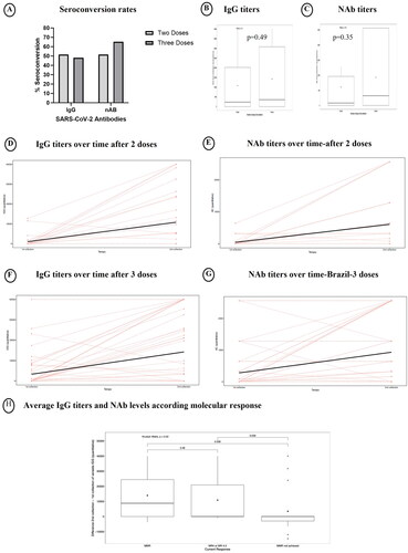 Figure 2. Comparison of SARS-CoV-2 antibodies in the Brazilian cohort after two and three doses.