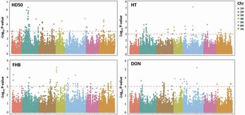 Fig. 5. Manhattan plots ofall site years of 400 genotypes for days to fifty-percent heading (HD50), height (HT), FHB (Fusarium head blight score) and deoxynivalenol content (DON) over the chromosomal position. The horizontal red dashed line represents a genome-wide significance threshold (-Log10 P-value ≥ 3.0). SNP markers are displayed cumulatively by chromosome (Chr) which are represented by colour.