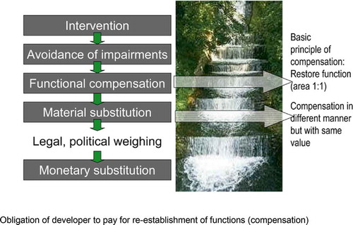 Figure 5. Procedure of the intervention regulation according to the German Federal Nature Conservation Act.