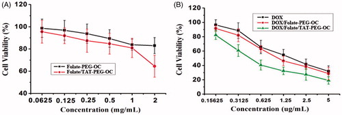 Figure 6. (A) Cytotoxicity study of folate/TAT-PEG-OC in HELF cells, (B) inhibition ratio assay of DOX, DOX/folate-PEG-OC, DOX/folate/TAT-PEG-OC micelles in Bel-7402 cells. Data represent mean ± SD (n = 6).