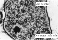 Figure 3 A microscopic picture (100X) of a thin slice from halva exposed to nitric acid gas for 4 h (proteins have yellow color).