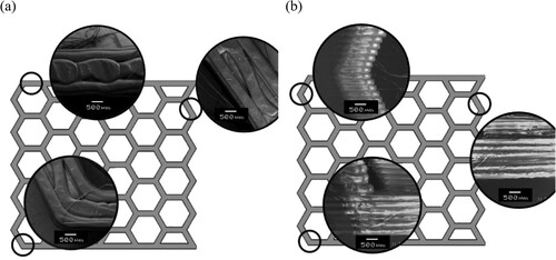 Figure 8. Honeycomb cell walls formed from multiple rasters with the main plane built (a) in the printing plane and (b) out of the printing plane, reported Basurto-Vázquez et al. (adapted from (Basurto-Vázquez et al. Citation2021)). Scale bar shown in figures corresponds to 500 micrometers.