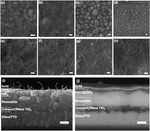 Figure 2. FESEM top views of (a) perovskite film applied on a TiO2 mesoporous layer, (b) NiOx film on perovskite (c), and (d) P3HT film on perovskite (e) NiOx&CNT layer on perovskite, (f) NiOx/CNT layer on perovskite (g) P3HT&CNT layer on perovskite, (h) P3HT/CNT layer on perovskite. The scale bar corresponds to 500 nm. Cross-sectional FESEM image of the perovskite solar devices based on (i) NiOx/CNT, and (j) P3HT&CNT (a)-(i) are secondary electron images, (j) is a backscattered electron image. The scale bar corresponds to 250 nm.
