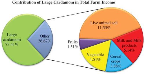 Figure 4. Contribution of large cardamom in total farm income.