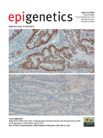 Cover image for Epigenetics, Volume 9, Issue 4, 2014