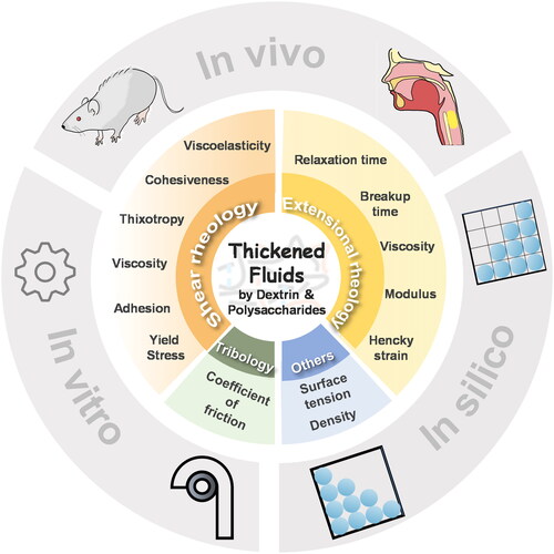 Figure 1. Flow behaviors and swallowing features of thickened fluids by polysaccharides with dextrin.