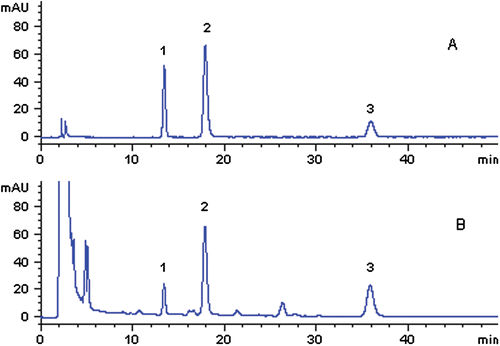 Figure 3.  HPLC chromatograms of reference standards (A) and SMT sample (B) separated on an Agilent SCX column (250 × 4.6 mm, 5 µm) (1: synephrine; 2: norisoboldine; 3: arecoline).