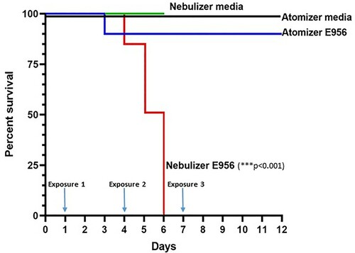 Figure 3. Survival of birds.Note: Kaplan-Meier analysis was performed such that birds found dead or exhibiting clinical signs and subsequently euthanized were considered mortalities. The “atomizer media” and “nebulizer media” lines represent the per cent survival of birds for the duration of the experiment following exposure to sterile media. The “atomizer E956” and “nebulizer E956” lines represent the per cent survival of birds over the duration of the experiment following exposure to APEC E956.