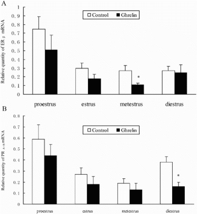 Figure 1.  A) Levels of ERβ mRNA in the ovary after i.c.v. injection of ghrelin during the estrus cycle. The RNA levels during proestrus, estrus, metestrus, and diestrus are compared to the saline control following ghrelin administration. B) Expression of PRA+B mRNA in the ovary after i.c.v. injection of ghrelin in rats during the estrus cycle. *indicates significant difference between control and ghrelin injected group (P < 0.05)