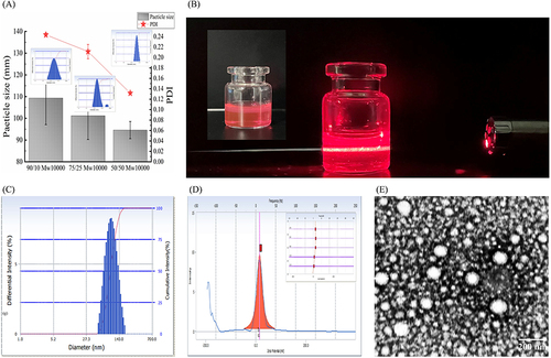 Figure 2 Characterization of Rh-NPs. ((A) variation in particle size; (B) appearance properties; (C) particle size distribution; (D) zeta potential; (E) TEM (28×, Scale bars = 200 nm)).