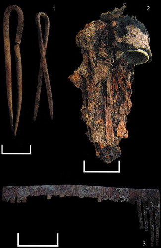 Figure 1. Objects found next to the bodies of female victims buried in the mass graves of the Romanzal stream: 1: Hairpins; 2: Sewing kit; 3: Comb. Scales 2 cm