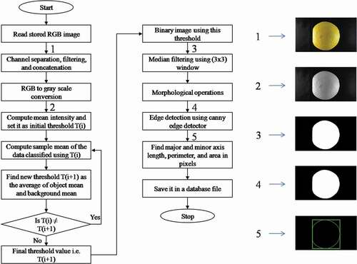 Figure 1. Flow chart of preprocessing steps for image features extraction