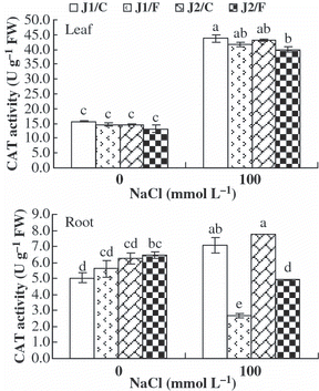 Figure 6 Catalase (CAT) activity in the leaves and roots of grafted cucumber seedlings under 0 mmol L−1 and 100 mmol L−1 NaCl stress. Values are the mean ± standard error (n = 3). Bars with the same letters indicate no significant difference according to Duncan’s multiple range test (P < 0.05). J1/C, Jinyu No. 1 grafted onto Chaojiquanwang; J1/F, Jinyu No. 1 grafted onto Figleaf Gourd; J2/C, Jinchun No. 2 grafted onto Chaojiquanwang; J2/F, Jinchun No. 2 grafted onto Figleaf Gourd; FW, fresh weight.