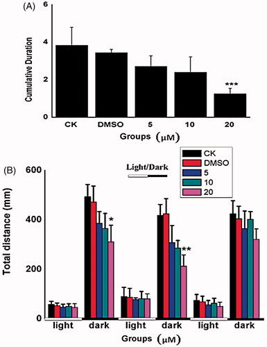 Figure 4. Behavioural assessment with the increasing concentrations of Co-SLD treatments. (A) Spontaneous movement at 24 hpf zebrafish embryos (B) Swimming distances of larvae after a 30-min light-to-dark photostimulation at 144 hpf. Light and dark periods are denoted by white and dark bars at the bottom. Each value is expressed as the mean ± SEM (n = 3). *p < .05, **p < .01 and ***p < .001 compared with the control group.