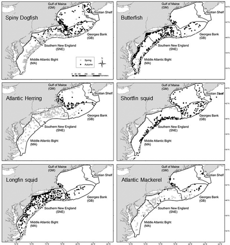 FIGURE 1. Locations of Spiny Dogfish and pelagic prey species aggregations during spring (gray circles) and autumn (black circles) in the Northeast U.S. Continental Shelf Large Marine Ecosystem (NES LME) between 1963 and 2009. The four regions are defined as follows: Gulf of Maine (GM), Georges Bank (GB), southern New England (SNE), and the Middle Atlantic Bight (MA). The black lines reflect the boundaries between each region. The gray shading indicates land masses. Aggregations were defined as CPUE estimates equal to or greater than the 95% percentile of the CPUE probability distribution each season. Note that only the largest CPUE estimates (i.e., aggregations) are displayed due to space constraints.