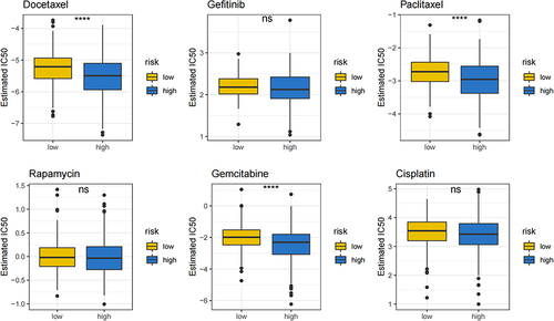 Figure 6 Comparison of chemotherapeutic sensitivity between the high- and low-risk groups. The IC50 of Docetaxel, Gefitinib, Paclitaxel, Rapamycin, Gemcitabine and Cisplatin were predicted and compared between low- and high-risk groups. ****P<0.0001, ns P>0.05.