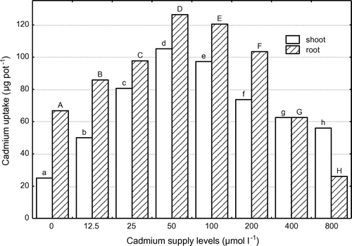 Figure 2. Cadmium uptake by shoots and roots of corn at different Cd supply levels. Data with the same letter represent statistically identical values (p   0.05).