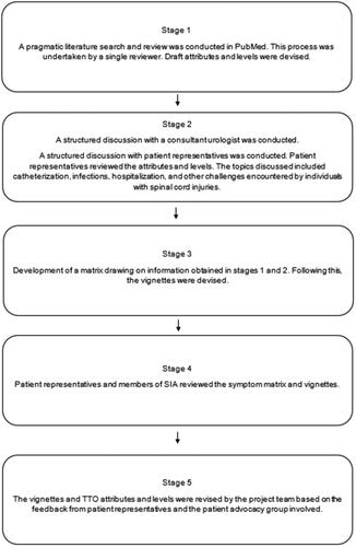 Figure 1. Development of vignettes.