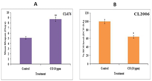 Figure 2. CO treatment-attenuated Aβ-induced paralysis in C. elegans CL4176 and intracellular ROS mediated oxidative stress due to Aβ proteotoxicity in CL2006 transgenic strains. (a) CO (10 ppm) treatment was able to rescue worms from Aβ-induced paralysis thereby enhancing mean lifespan in worms in comparison to control; (b) CO (10 ppm) treatment reduced Aβ proteotoxicity in CL2006 transgenic worms by reducing intracellular ROS mediated oxidative stress. The data are statistically analyzed using ANOVA in ASSISTAT 7.7 beta statistical assistance software. Differences between the data were considered significant at p ≤ 0.05.