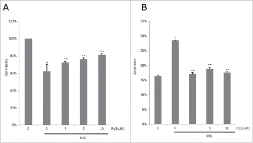 Figure 1. Effect of ginsenoside Rg3 on INS-1 cell viability and apoptosis in intermittent high glucose. The cells were treated with normal and high (33 mM) glucose alternating 12 h with Rg3 (1, 5, 10μM) for 2 d. (A) Cell viability was determined by MTT assay. (B) Cell was stained by Annexin V for apoptosis detection and analyzed by FACSort. Values are means ± SD (n = 3). Means with different marks differ significantly among groups (p < 0.05). C means control group. *p < 0.01 relative to control; **p < 0.05 relative to IHG treated without Rg3 group.