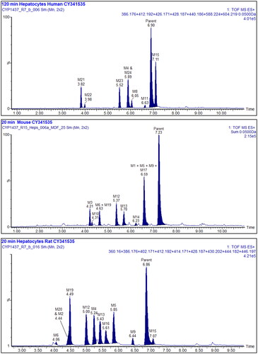 Figure 3. Summed XIC’s of all the metabolites of UNC10201652. Upper: 120 min human hepatocyte samples. Middle: 20 min mouse, and lower: 20 min rat. Metabolites M7 and 18 are not shown in these mass chromatograms. Other peaks are considered to arise from endogenous material.