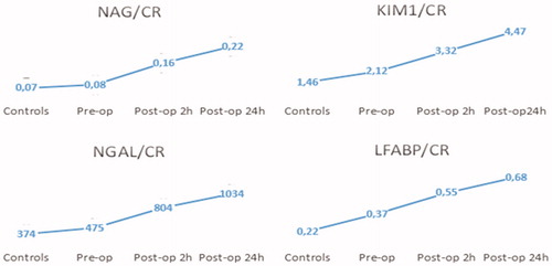 Figure 1. Urinary biomarkers measured in the control and patient group with preoperative and postoperative values.
