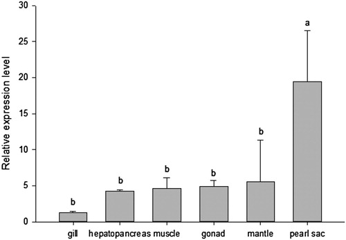 Figure 5. Relative expression levels of Pf IGFBP in adult tissues of P. fucada.
