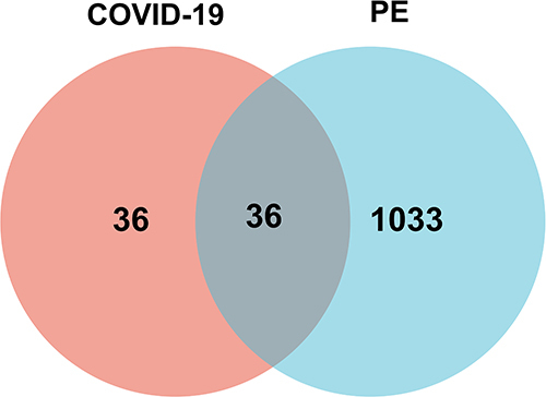 Figure 1 Common gene representation through a Venn diagram. Thirty-six genes from among 72 COVID-19 genes and 1069 PE genes were found to be common genes.