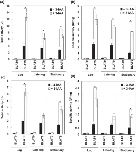 Figure 6. Effects of 3-indoleacrylic acid (3-IAA) on expression of the gene under the control of the T9 promoter.Total activity (a and c) and specific activity (b and d) of BLA from a 5 mL culture of BLAT9. The cells grown at 18°C (a and b) and 4°C (c and d) to the log (OD600 = 0.7–0.8), late-log (OD600 = 0.8–1.0), and stationary (OD600 = 1.8–2.0) phases were transferred to LB medium with (open bars) or without (closed bars) 0.1% 3-IAA supplementation. As a control, BLAT0 harboring pbla, which contains the BLA gene without a promoter, was used. Error bars represent SD values from three independent experiments. Asterisks (*) indicate statistically significant differences (Student’s t-test, P < 0.01).