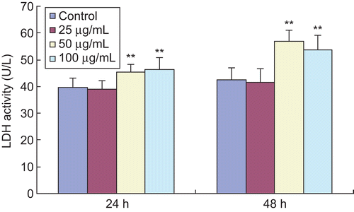 Figure 3.  Effects of EO on LDH activity in HSFs. The LDH activity released by HSFs was measured with an automatic biochemistry analyzer. After treatment with 100 and 200 μg/mL EO for 24 and 48 h, the LDH activity in the medium was markedly enhanced, suggesting an increase in LDH release of HSFs. **P <0.01 compared with the control group. Data are presented as the mean ± SD, n = 10.