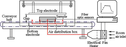 FIGURE 1 Schematic view of the pilot-scale 6 kW, 27.12 MHz radio frequency (RF) unit showing the two-pair plate electrodes, conveyor belt, and the hot air system (CitationWang et al., 2010) (color figure available online).