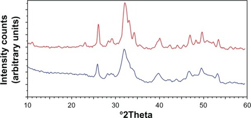Figure 11 Powder X-ray diffraction patterns of biomimetic carbonate-hydroxyapatite microcrystals (red) compared with the powder X-ray diffraction patterns of dentine apatite (blue).