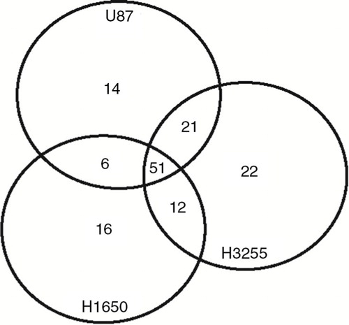 Fig. 1.  Venn diagram of protein kinases detected in EVs from 3 different cell lines. All protein kinases were identified by a cross search using protein IDs of the human kinome.