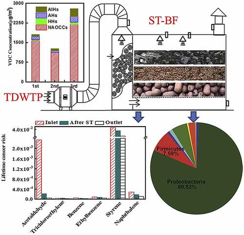 Figure 9. Schematic illustration representing spray tower combined biofilter in the removal of volatile organic compounds (VOCs) present in textile dye wastewater treatment plant, which reduces the risk of respiration diseases [Citation164].