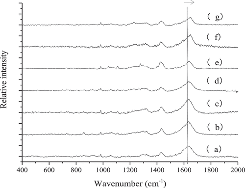 Figure 5. Raman spectra in 400–2000 cm−1 region of myofibrillar protein gels heated at different temperatures