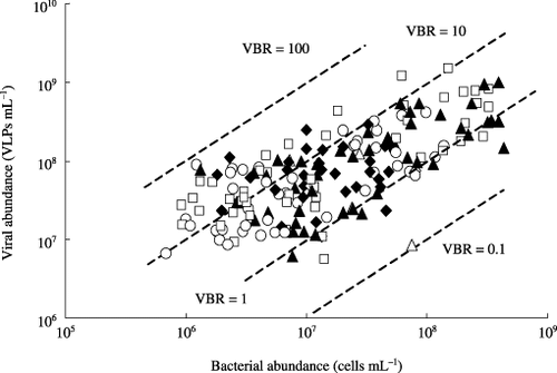 Figure 6  Seasonal variations in virus-to-bacterium ratios (VBRs) in the floodwater in a plot without fertilizer (○), a plot with chemical fertilizers (□), a plot with chemical fertilizers and lime (◊) and a plot amended with chemical fertilizers, lime and compost (▴) during the rice cultivation period. The correlation coefficient between the abundance of VLPs and bacteria was 0.608 (significant at the 1% level).