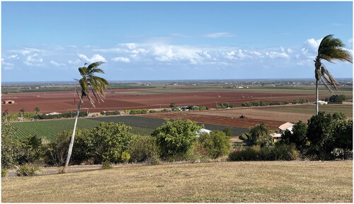 FIGURE 3 A patchwork view of the red fields around Bundaberg.