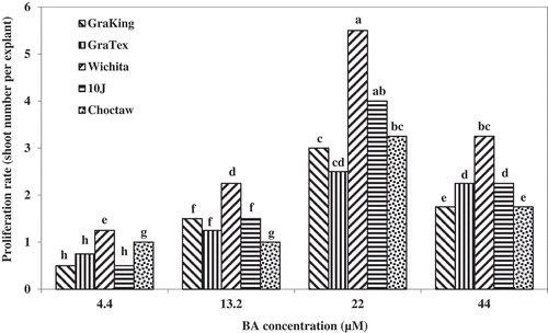 Figure 8. Effect of different concentrations of BA (µM) on in-vitro shoot proliferation rate of various pecan cultivars. Means of the columns followed by the same letter are not significantly different according to Duncan’s multiple range test (P ≤ .05)