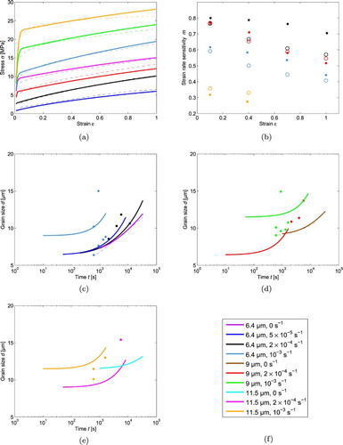 Figure 5. The SV-sinh model with w={1500 2.7} (set 3) fitted to (a) stress–strain data, (b) strain rate sensitivity-strain data, and grain size-time data in (c), (d) and (e).