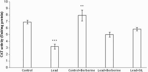 Figure 5 Effects of long-term berberine administration on CAT activity in liver homogenates samples of control, lead, berberine (50 mg/kg) treated control (Control + Berberine), berberine (50 mg/kg) treated lead (Lead + Berberine), and silymarin (200 mg/kg) treated lead (Lead + SIL) groups (n = 7) at 8 weeks after treatments. The data are represented as mean ± SEM. **P < 0.01 and ***P < 0.001 (as compared to control group).