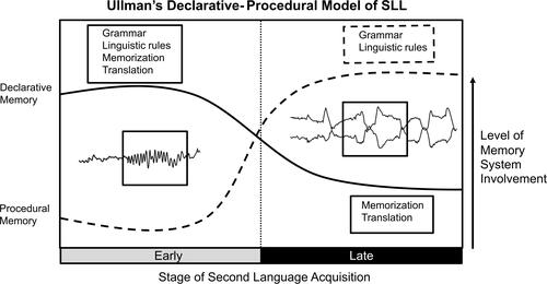Figure 1 Representation of Ullman’s Declarative-Procedural Model of SLL with an added role for electrophysiological sleep-associated markers of memory consolidation.