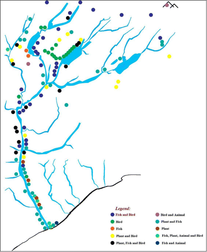 Figure 4 The locations and types of resources gathered by Ngāi Tahu in the Waitaki catchment pre-European settlement.Note: Derived from the 1879–1880 map and manuscript, and Beattie Citation1945; Map prepared by K. Nelson.