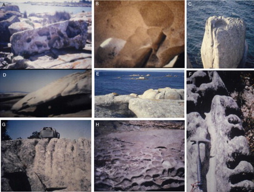 Figure 4. (A) Block with tafoni. (B) Tafoni honeycombing. (C) Armchair on Arosa Island. (D) Scale with tafoni. (E) Fractures. (F) and (G) Channels on granitic blocks. (H) Incipient gnammas.